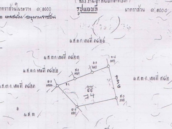 Chiang Mai-P-PLS635