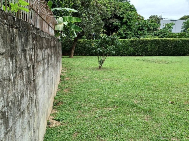 Land for sale near Mee Chok Plaza