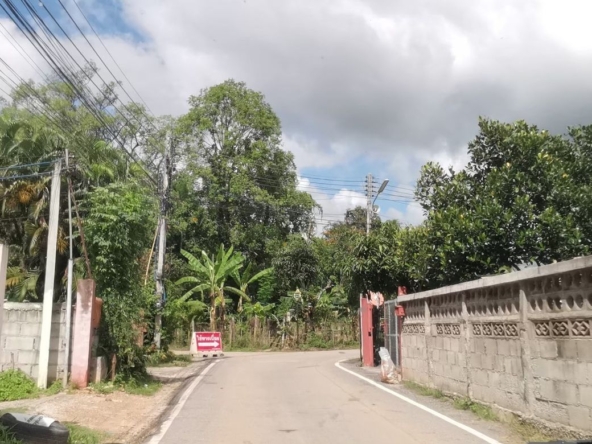 Land over 1 rai for sale in Muang Chiang Mai-P-PLS677