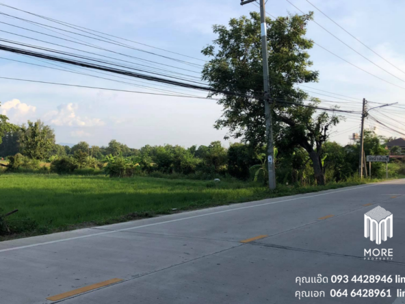 Property id024ls Land for sale in San Khum Phaeng 14-3-82 Rai  near Buak Khang Municipality-MR-024ls