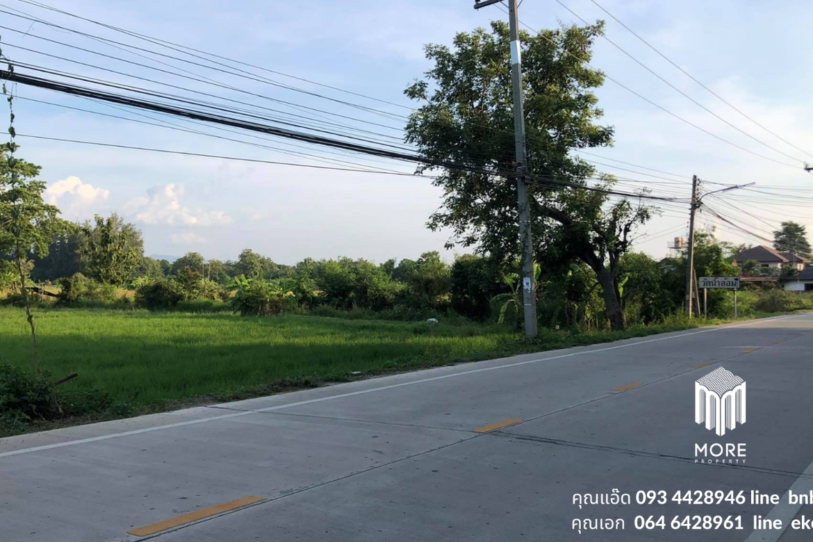 Property id024ls Land for sale in San Khum Phaeng 14-3-82 Rai  near Buak Khang Municipality-MR-024ls