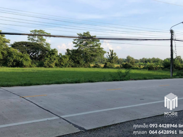 Property id024ls Land for sale in San Khum Phaeng 14-3-82 Rai  near Buak Khang Municipality-MR-024ls