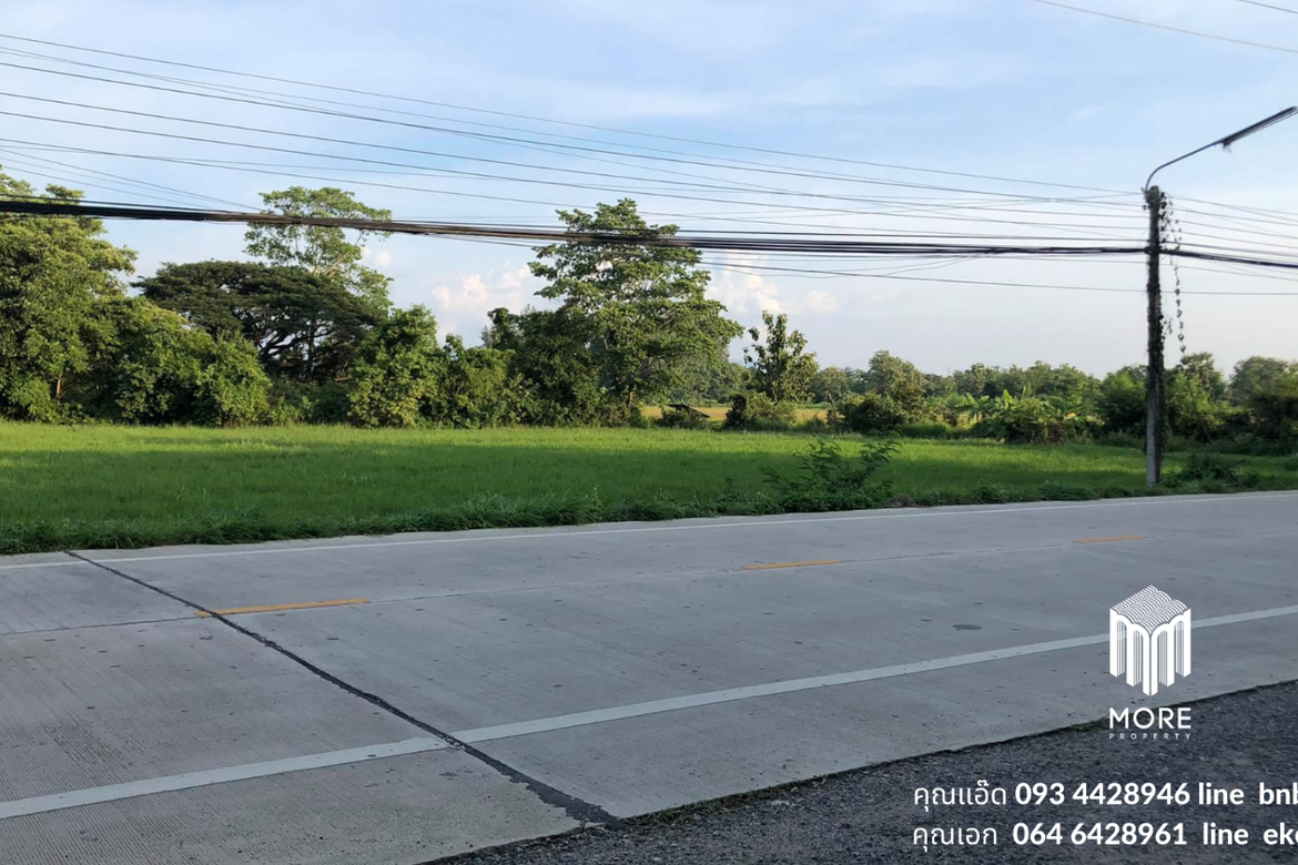 Property id024ls Land for sale in San Khum Phaeng 14-3-82 Rai  near Buak Khang Municipality-MR-024ls