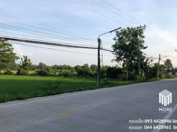 Property id024ls Land for sale in San Khum Phaeng 14-3-82 Rai  near Buak Khang Municipality-MR-024ls