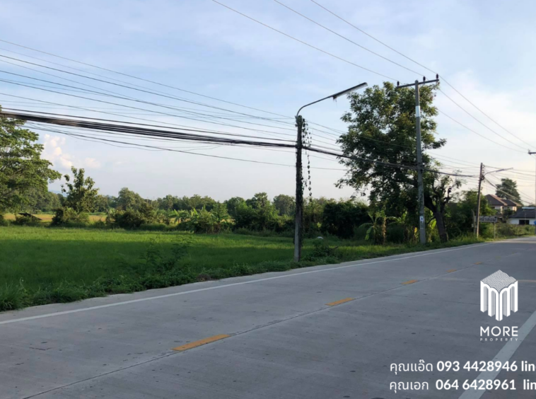 Property id024ls Land for sale in San Khum Phaeng 14-3-82 Rai  near Buak Khang Municipality-MR-024ls