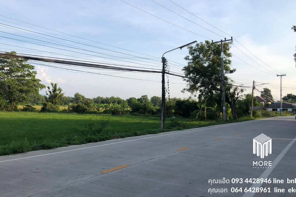 Property id024ls Land for sale in San Khum Phaeng 14-3-82 Rai  near Buak Khang Municipality-MR-024ls