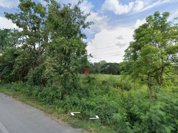 land for sale in san Kamphaeng  2 rai 2 ngan-MR-087LS