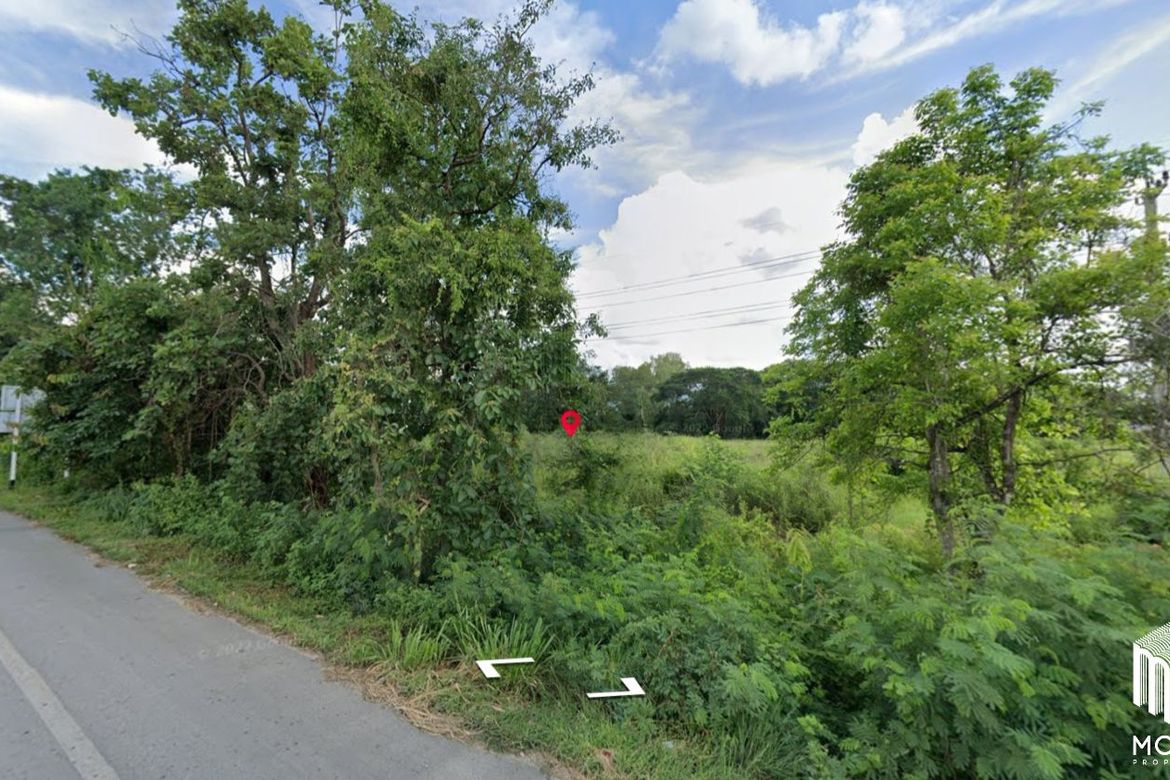 land for sale in san Kamphaeng  2 rai 2 ngan-MR-087LS