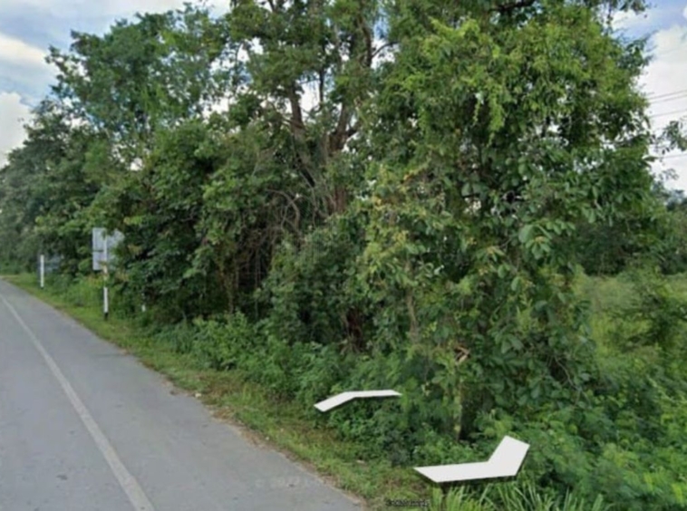 land for sale in san Kamphaeng  2 rai 2 ngan-MR-087LS