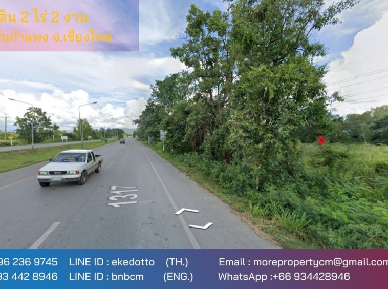 land for sale in san Kamphaeng  2 rai 2 ngan-MR-087LS