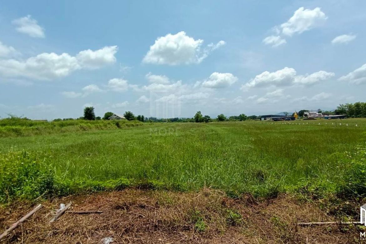 Property id 180ls Land for sale in San Kham Phaeng 7-3-53 Rai near Mae Kue Market-MR-180ls