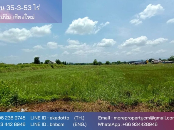 Property id 180ls Land for sale in San Kham Phaeng 7-3-53 Rai near Mae Kue Market-MR-180ls