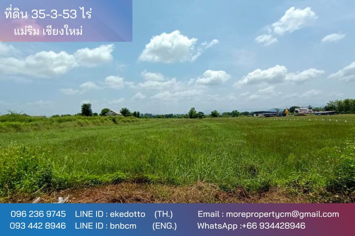 Property id 180ls Land for sale in San Kham Phaeng 7-3-53 Rai near Mae Kue Market-MR-180ls