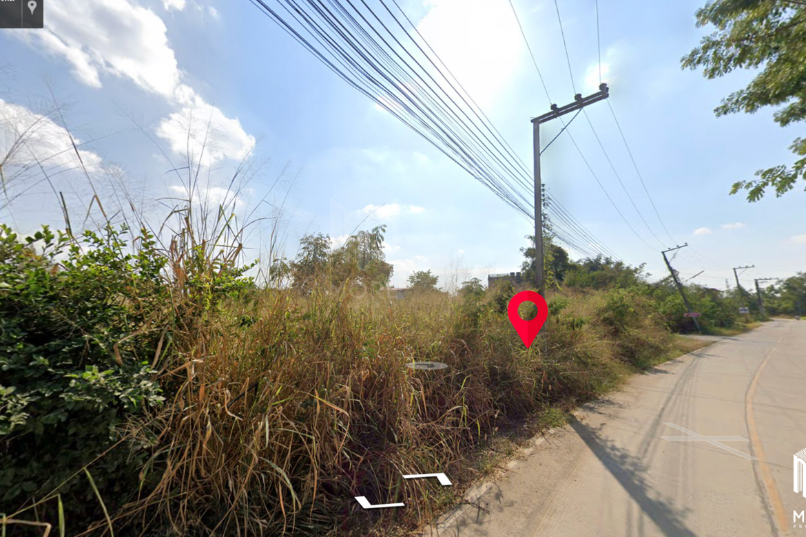 Land for sale in San kam phaeng 1Rai 3ngan 95sq.wa.  near  Charoen Charoen market (ID: 229LS)-MR-229LS