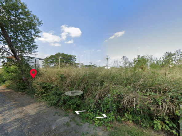 Land for sale in San kam phaeng 1Rai 3ngan 95sq.wa.  near  Charoen Charoen market (ID: 229LS)-MR-229LS