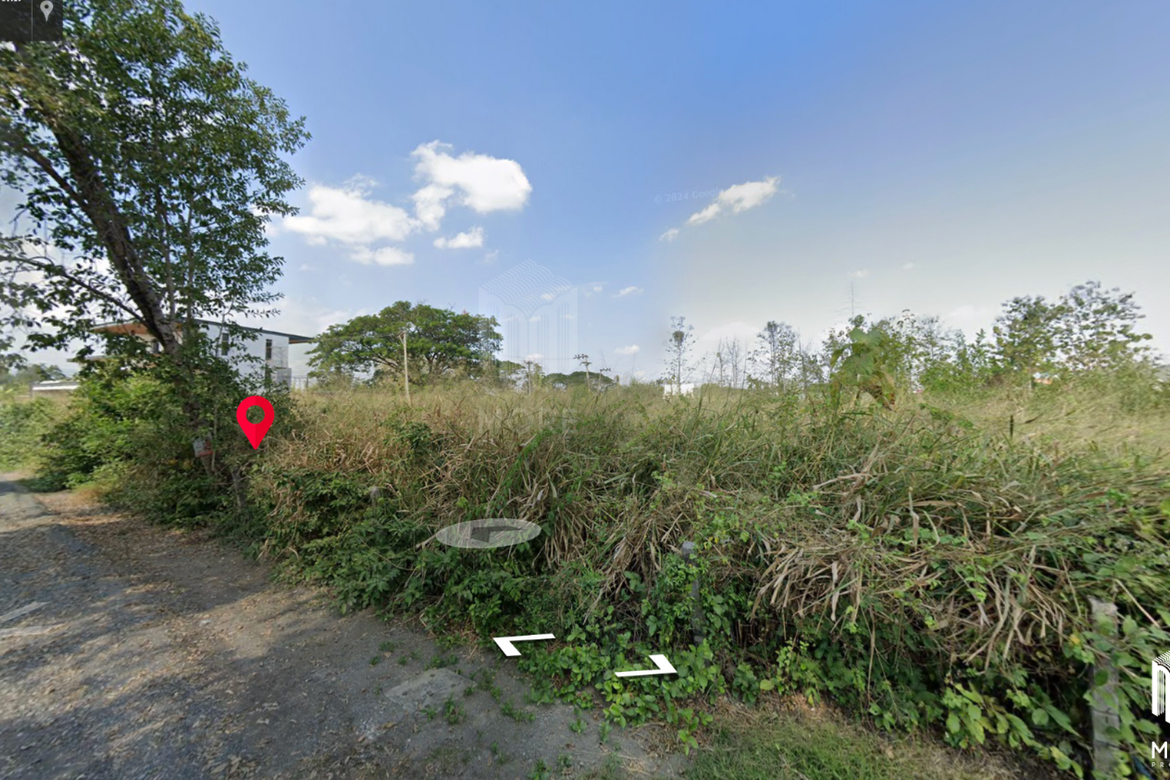 Land for sale in San kam phaeng 1Rai 3ngan 95sq.wa.  near  Charoen Charoen market (ID: 229LS)-MR-229LS