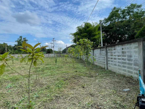 Land for sale in San Kamphaeng