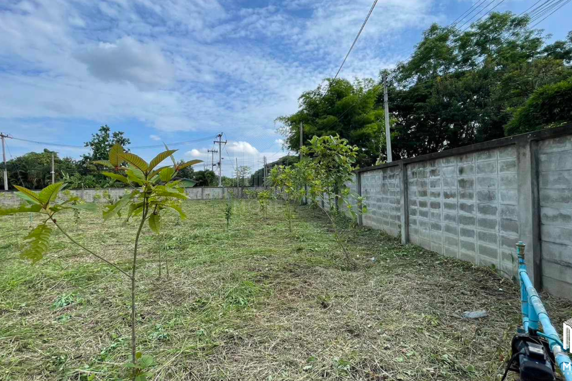 Land for sale in San Kamphaeng