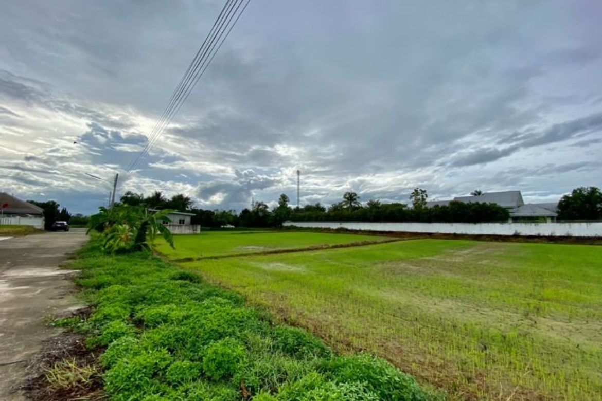 Large plot for sale in San Khampeang