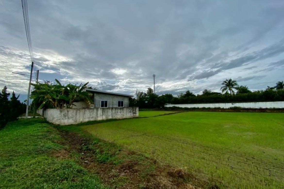 Large plot for sale in San Khampeang