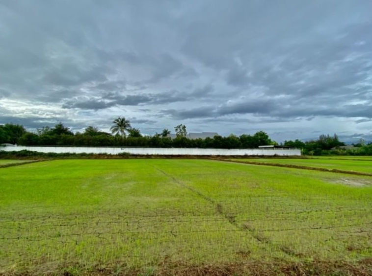 Large plot for sale in San Khampeang