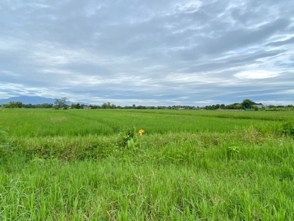 A nice plot for sale in Sankhampeang