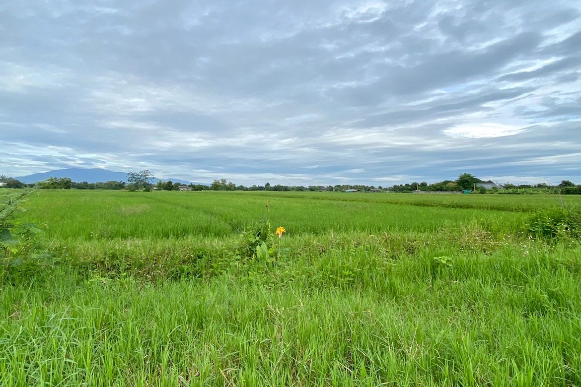 A nice plot for sale in Sankhampeang