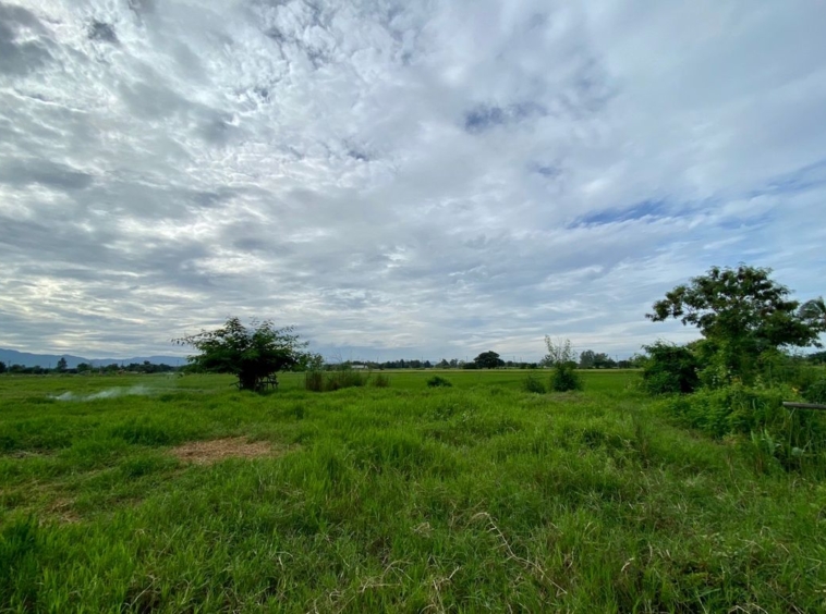 A nice plot for sale in Sankhampeang