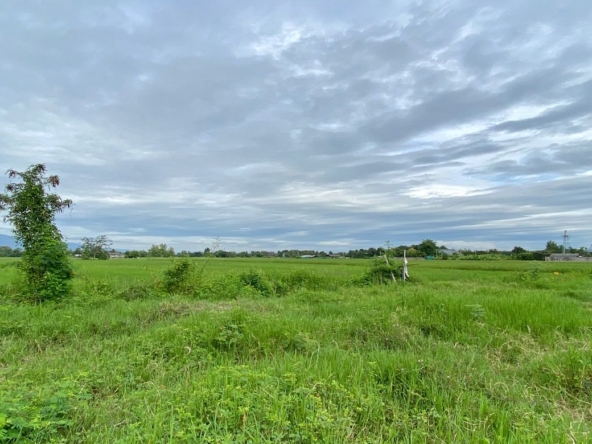 A nice plot for sale in Sankhampeang