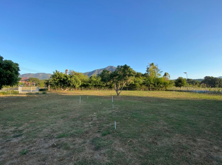 A nice plot with Mountain View for sale in Mae On-P-PLS878