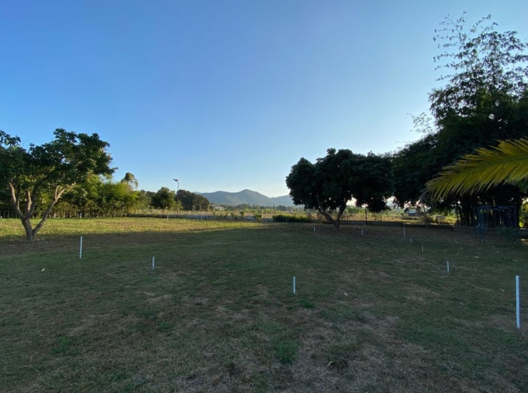 A nice plot with Mountain View for sale in Mae On-P-PLS878