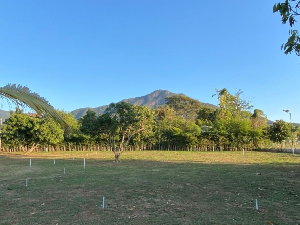 A nice plot with Mountain View for sale in Mae On-P-PLS878