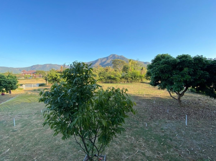 A nice plot with Mountain View for sale in Mae On-P-PLS878