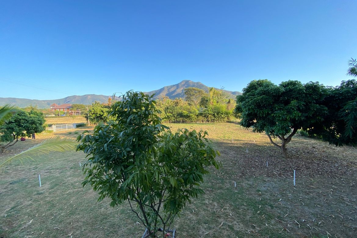 A nice plot with Mountain View for sale in Mae On-P-PLS878