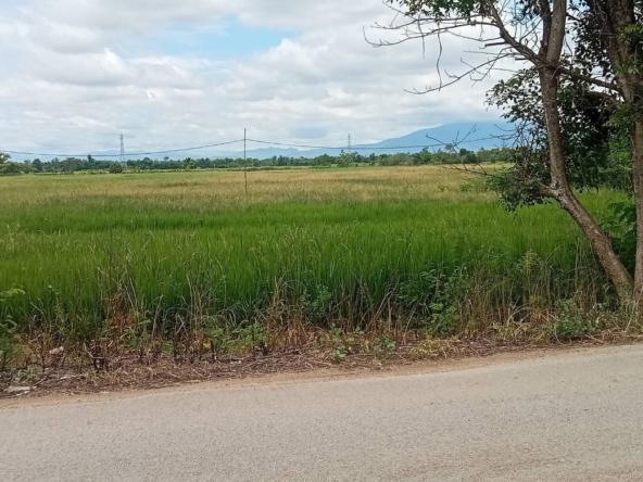 Land for sale-P-PLS984