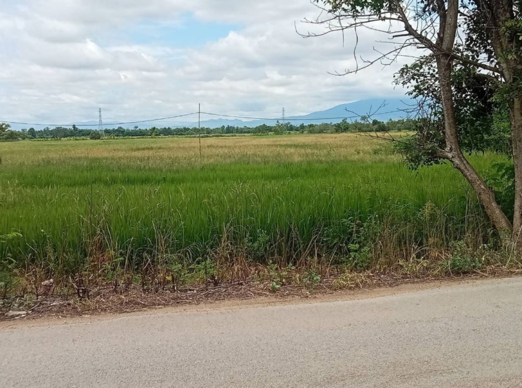 Land for sale-P-PLS984