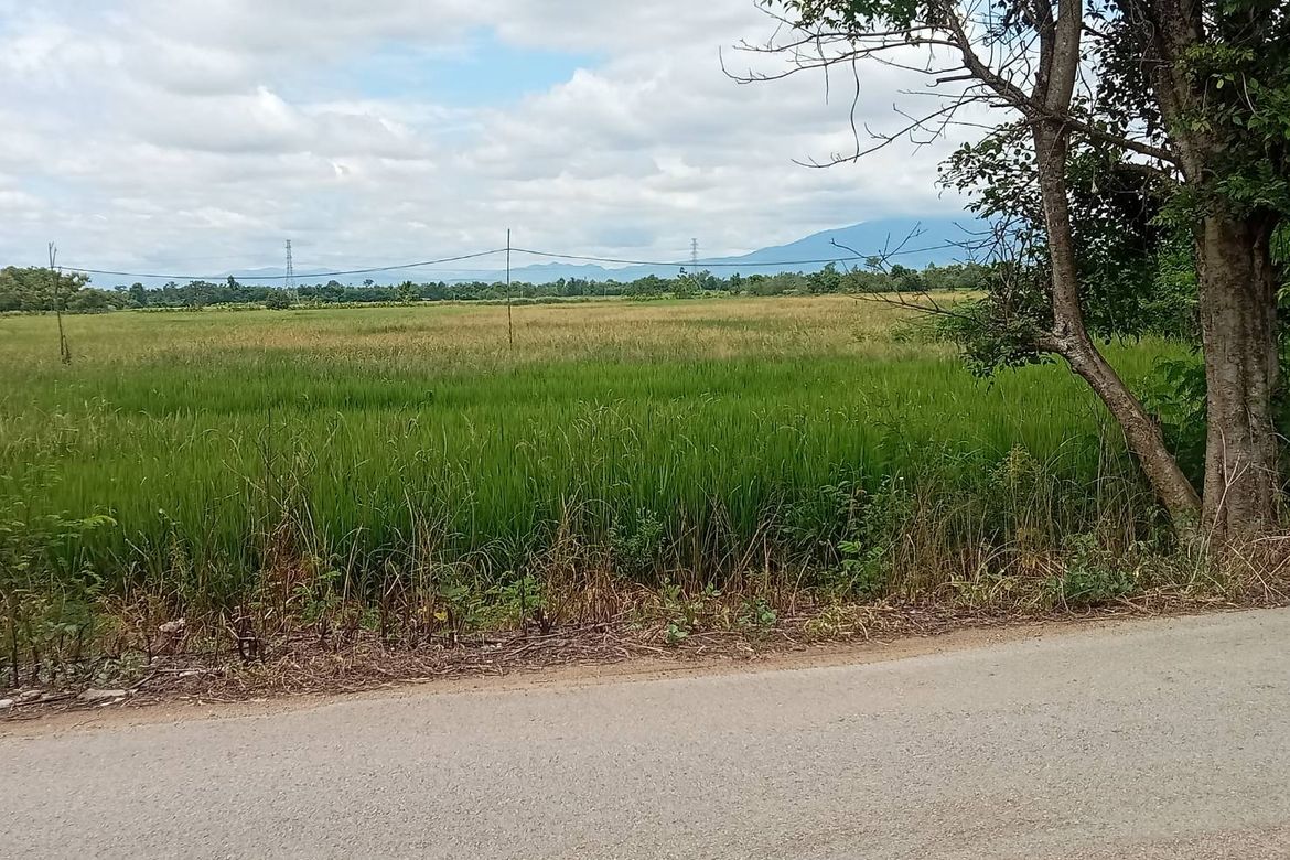 Land for sale-P-PLS984