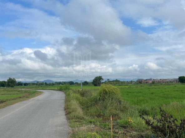 Property id226ls  Land for sale in Hang Dong 16Rai  near Grace international school-MR-226LS