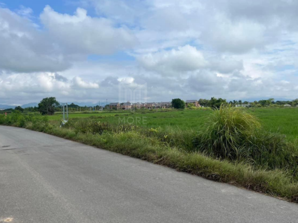 Property id226ls  Land for sale in Hang Dong 16Rai  near Grace international school-MR-226LS