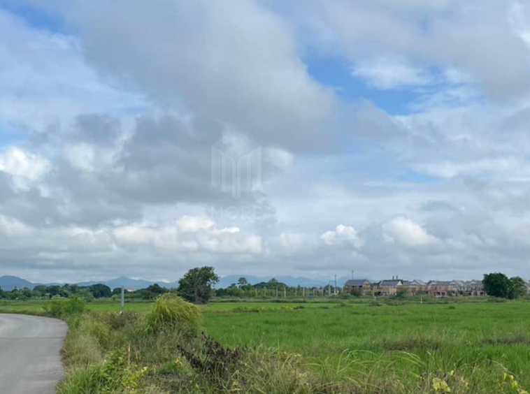 Property id226ls  Land for sale in Hang Dong 16Rai  near Grace international school-MR-226LS