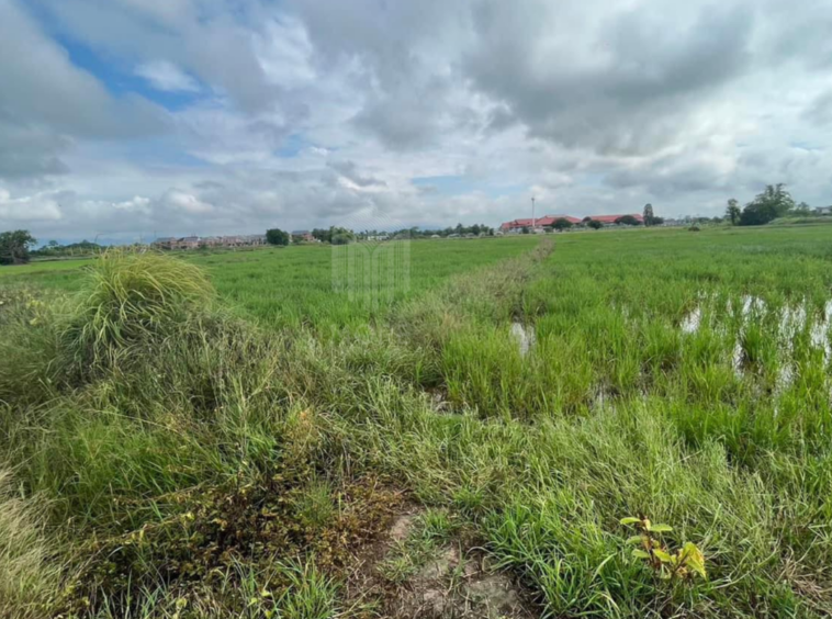 Property id226ls  Land for sale in Hang Dong 16Rai  near Grace international school-MR-226LS