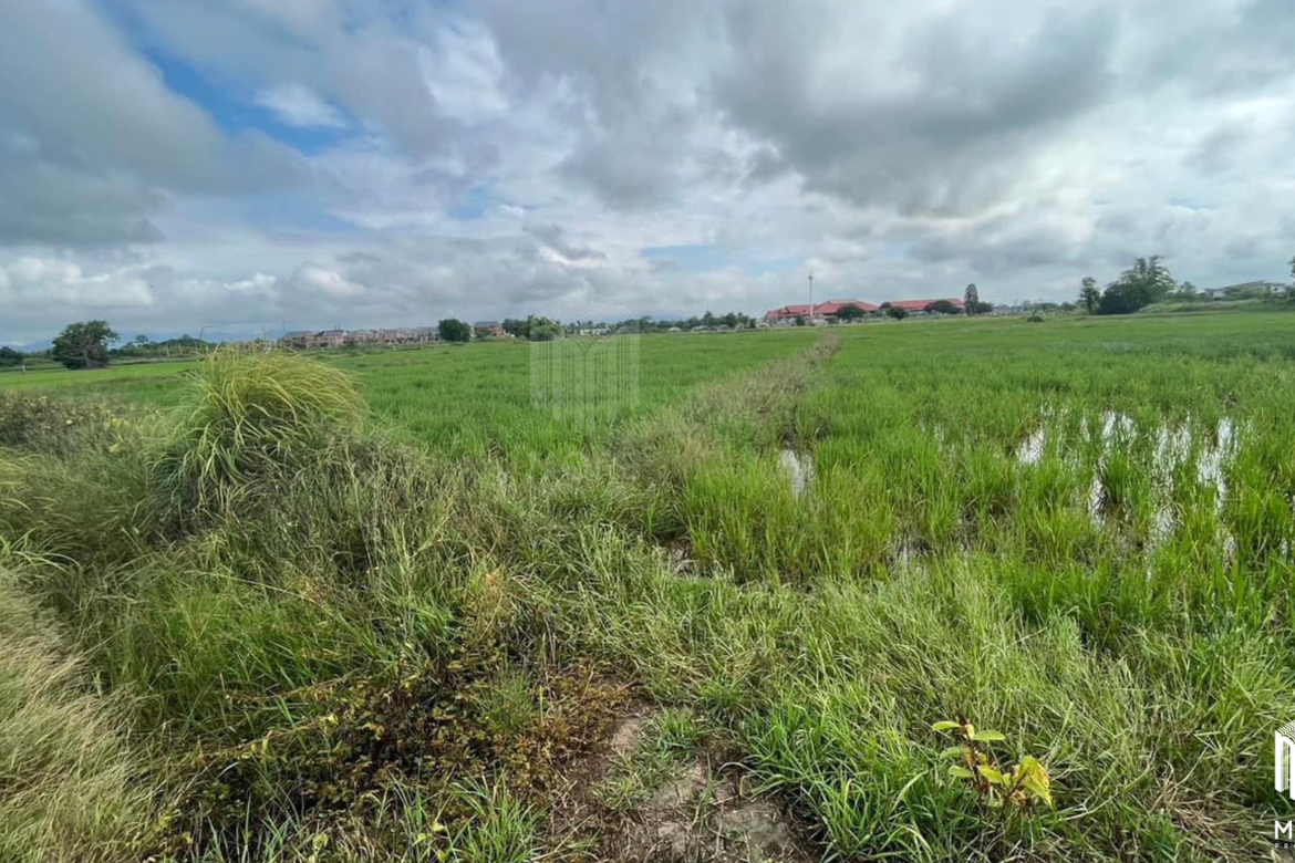 Property id226ls  Land for sale in Hang Dong 16Rai  near Grace international school-MR-226LS