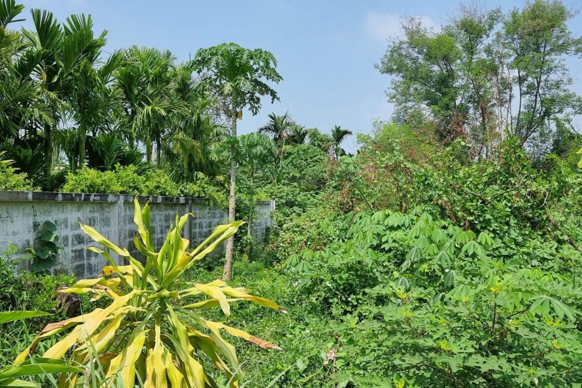 Property id140ls Land for sale in SanSai 0-2-68Rai  near Sam Yak Market-MR-140ls