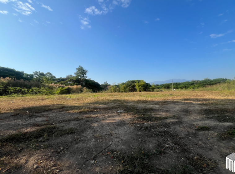 Property id208ls Land for sale in San Sai 3-1-72 sq.wa  near Meajo University-MR-208LS