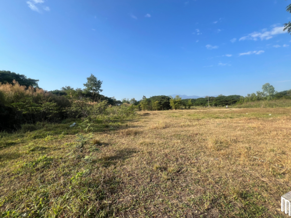 Property id208ls Land for sale in San Sai 3-1-72 sq.wa  near Meajo University-MR-208LS