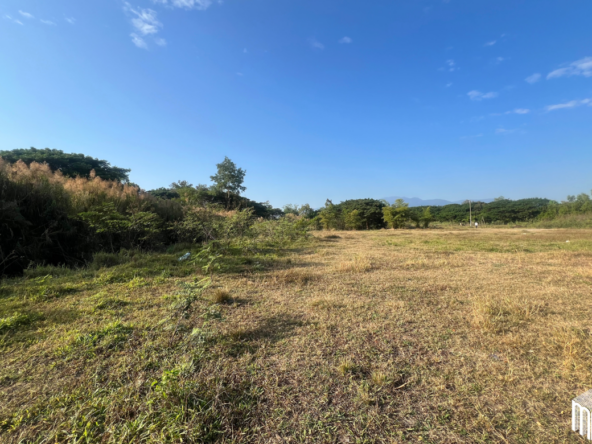 Property id208ls Land for sale in San Sai 3-1-72 sq.wa  near Meajo University-MR-208LS