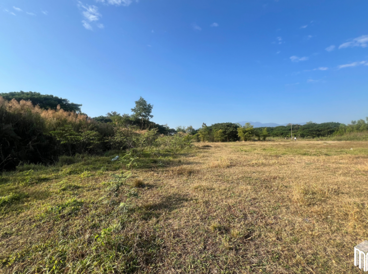 Property id208ls Land for sale in San Sai 3-1-72 sq.wa  near Meajo University-MR-208LS