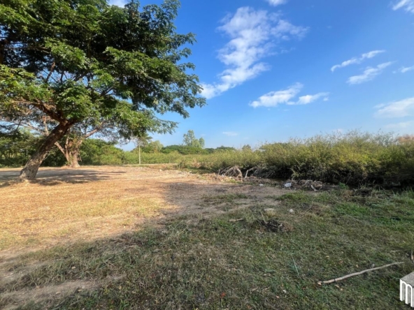 Property id208ls Land for sale in San Sai 3-1-72 sq.wa  near Meajo University-MR-208LS