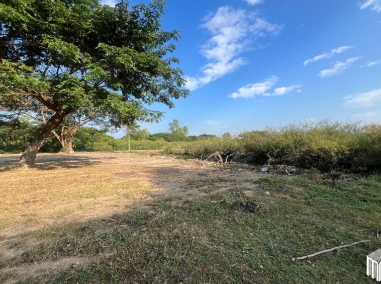 Property id208ls Land for sale in San Sai 3-1-72 sq.wa  near Meajo University-MR-208LS