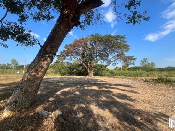 Property id208ls Land for sale in San Sai 3-1-72 sq.wa  near Meajo University-MR-208LS